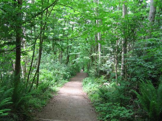 Pacific Spirit Regional Park